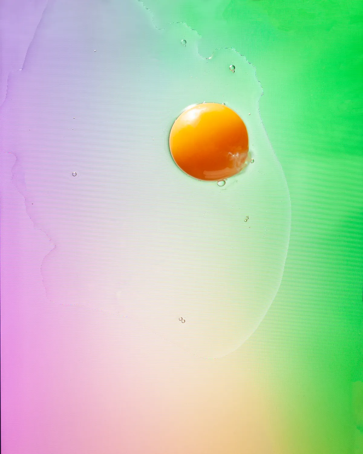 Egg, from published editorial work