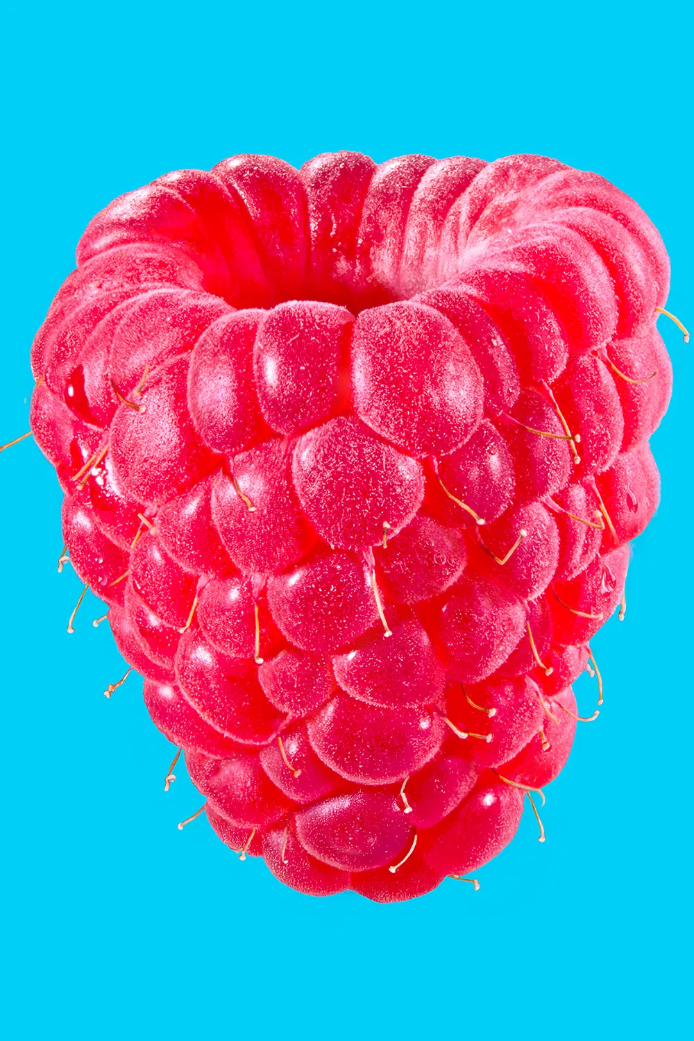 Studio food still life released as a fine art print