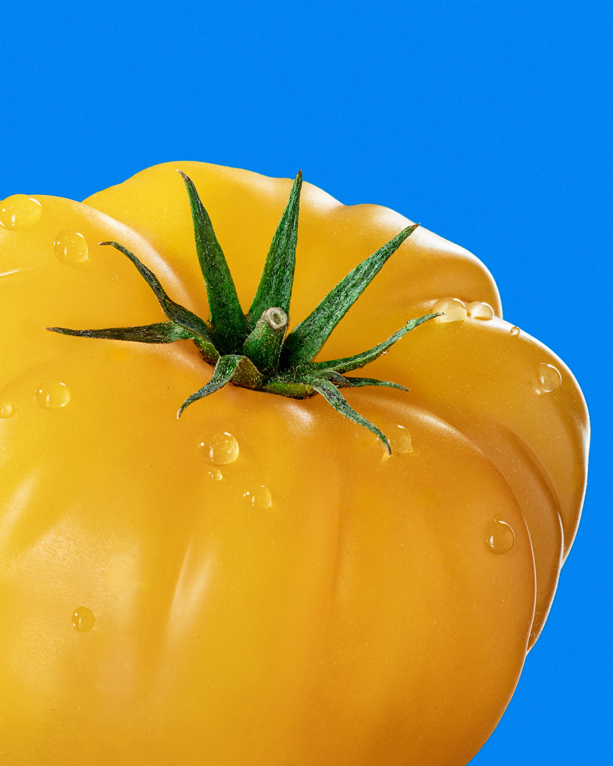 Tomato product still life